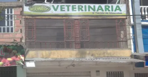 MI FIEL SABWES VETERINARIA BOGOTÁ MI FIEL SABWES VETERINARIA BOGOTÁ